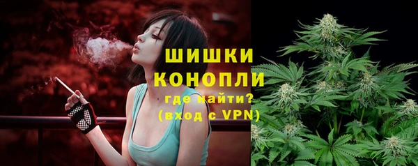 2c-b Бородино